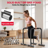 Parallel Bar Dip Stand Station
