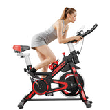 Stationary Exercise Bike