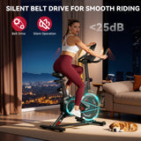 Stationary Exercise Bike C1, Flywheel 6KG