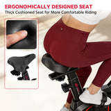 Stationary Exercise Bike C1, Flywheel 6KG